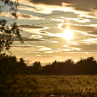box-camping-and-glamping
