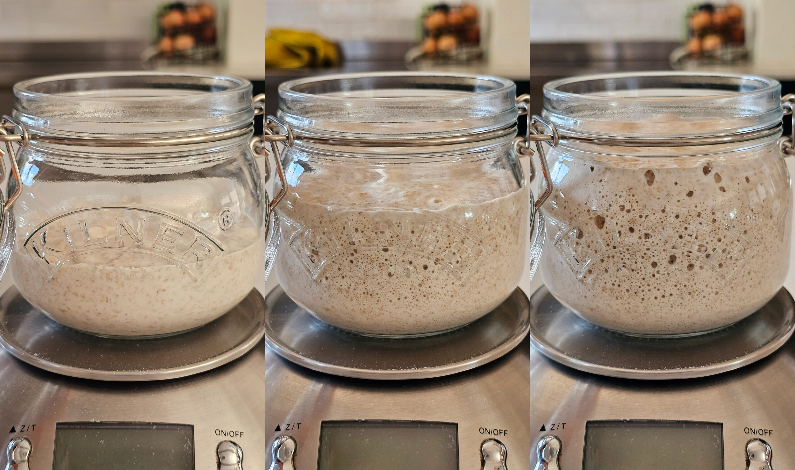 Active Sourdough Starter